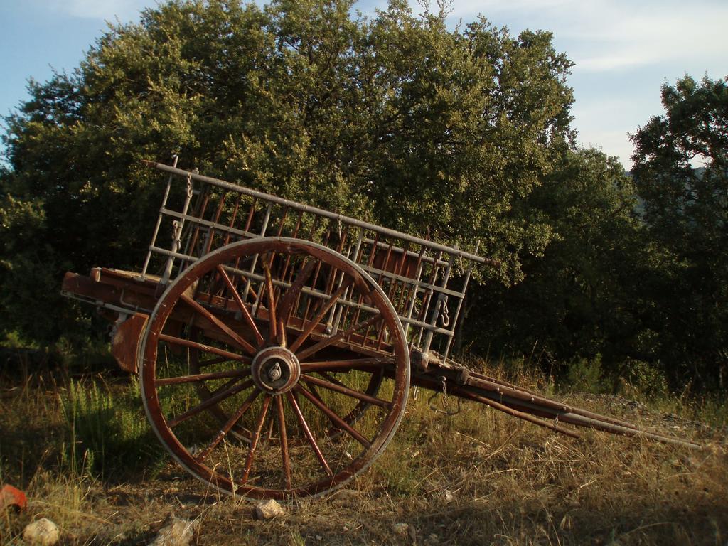 Masia De La Serra De La Cogulla Penarroya De Tastavins ภายนอก รูปภาพ