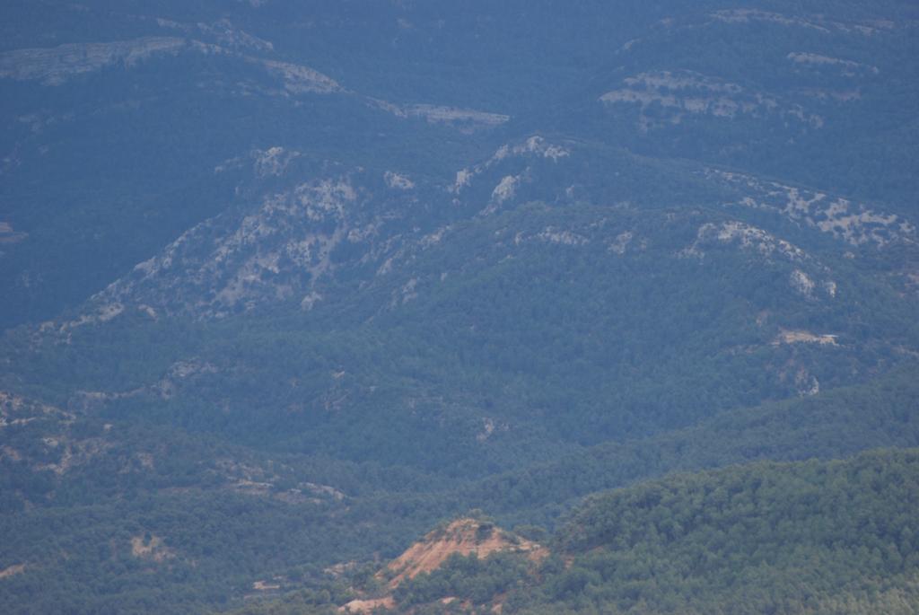 Masia De La Serra De La Cogulla Penarroya De Tastavins ภายนอก รูปภาพ